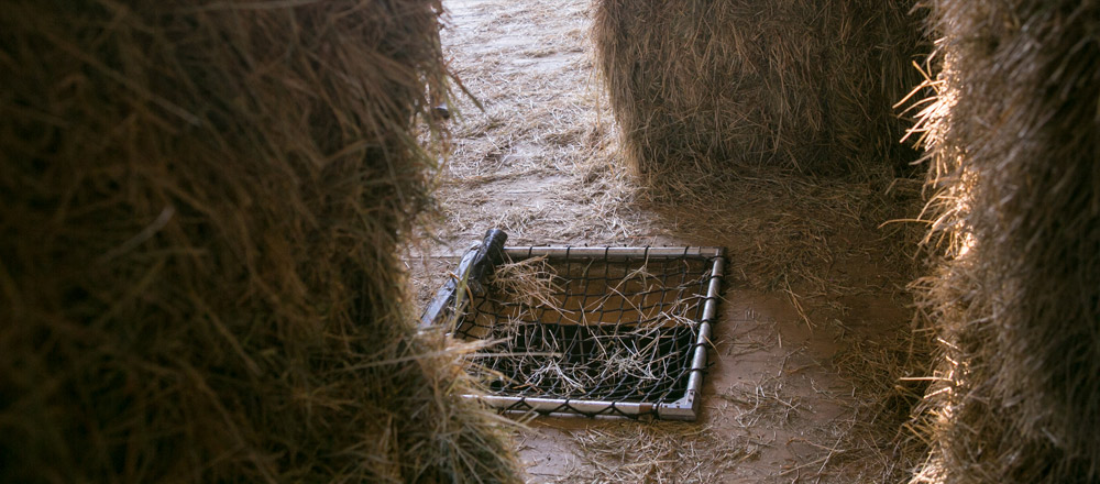 Hay-hole